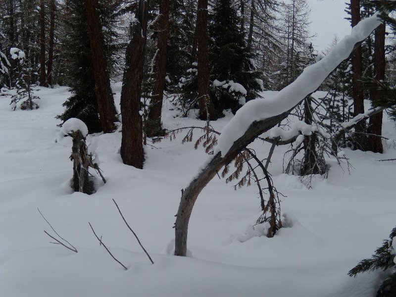 foto novembre 082.jpg